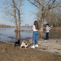 Разлив на реке Оке :: Galina Solovova
