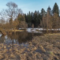 Весенние :: юрий поляков