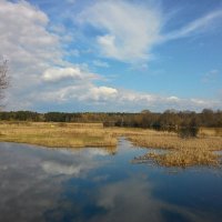 Весна на реке Ипуть :: Надежда Буранова 