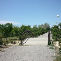 Мост в парке :: Вера Щукина
