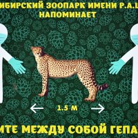 Держите между собой гепарда :: Татьяна Лютаева