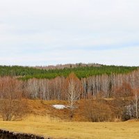 Еще небольшой кусочек снега. :: Татьяна Перегудова 