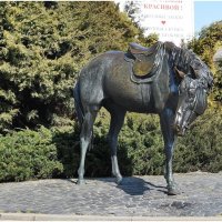 Памятник лошади. :: DianaVladimirovna 