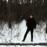в зимнем лесу :: Юлия Денискина
