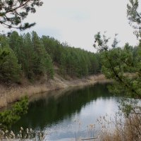 Небольшое озеро на месте старого карьера :: tamara kremleva