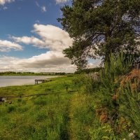 У водозабора :: Николай Гирш