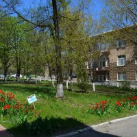 Новочеркасск. Тюльпаны Студенческого сквера. :: Пётр Чернега