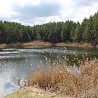 Небольшое озеро на месте бывшего карьера. :: tamara kremleva