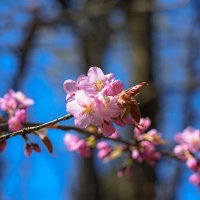 Пробуждение... :: Владимир Жданов