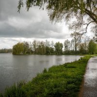 Весенний дождь :: Николай Гирш