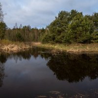 Утро на речке Буянке. :: Виктор Евстратов