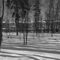 Зимние утро.... Мобильная фотография :: Ksenia Sun