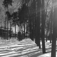 Зимние утро.... Мобильное фото :: Ksenia Sun