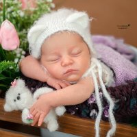 фотограф новорожденных Симферополь :: Елена 