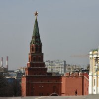 Россия. На территории Московского Кремля. :: Наташа *****