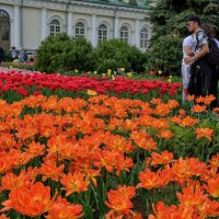 В саду :: Михаил Рогожин