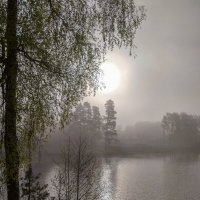 туман :: Андрей Шуляк