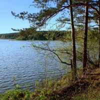У озера... :: Нэля Лысенко