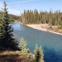 Река Боу в Скалистых горах Канады :: Владимир Смольников