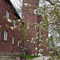 весна в Стокгольме :: Елена 