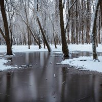 На полотнах Кубанской зимы. :: Анатолий Щербак