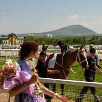 Пятигорский ипподром :: Александр Алексеев