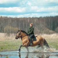 Верхом на верном коне :: Ольга Семина