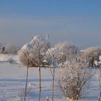 МОЯ ДЕРЕВНЯ, окрестности. :: Виктор Осипчук