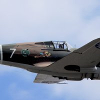 Curtiss P-40 Tomahawk :: Sergey Krivtsov