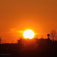 Белое солнце над Шумилино :: Анатолий Клепешнёв