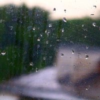 Эти летние дожди  8 июня :: олег свирский 