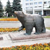 Пермский медведь. :: Евгений Шафер