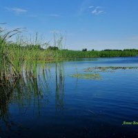 Глаза озер с ресницами зелёными В просторы летние внимательно глядят...... :: Восковых Анна Васильевна 