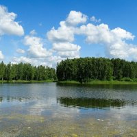 Смоленщина в июне (из поездок по области). :: Милешкин Владимир Алексеевич 