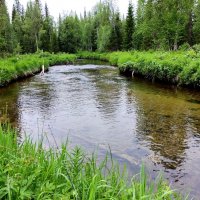чистые воды северной речки :: vg154 