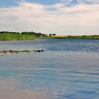 В мягких красках заката. :: Восковых Анна Васильевна 