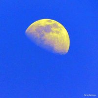 Луна в вечернем небе. :: Валерьян Запорожченко