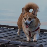 "Как много воды!" :: Владимир Безбородов