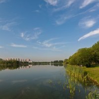 Июньским утром на пруду :: Валерий Иванович