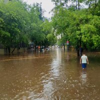 Сказала же мама "Далеко не заплывай" :: Андрей Лукьянов