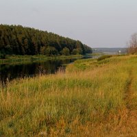 Засушливое лето 2021 :: tamara kremleva