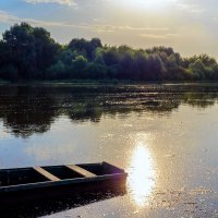 Отражения солнца в реке.. :: Юрий Стародубцев