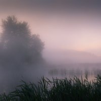 Розовый туман :: Владимир Андреев