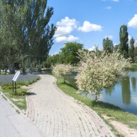 Лето в Гагаринском  парке :: Валентин Семчишин