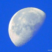 Луна в утренем небе, :: Валерьян Запорожченко