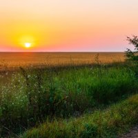 Летний восход солнца в крымской степи. :: Андрей Козлов