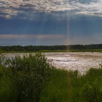 Перед грозой :: Оксана Галлямова