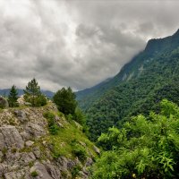природа Грузии прекрасной :: Tatiana Kolnogorov