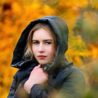 Осенний портрет девушки :: Анатолий Клепешнёв