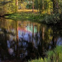 Зеркальное отражение летнего пейзажа в пруду :: Владимир Ефимов